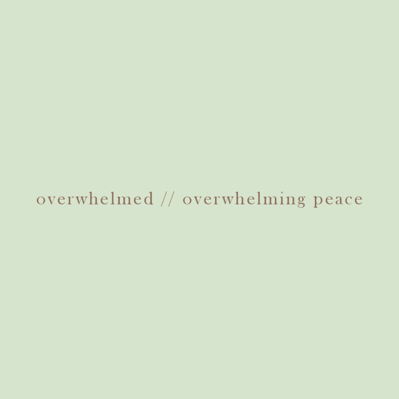 OVERWHELMED//OVERWHELMING PEACE